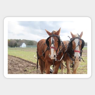 Plow Days - Mount Hermon, Maryland Sticker